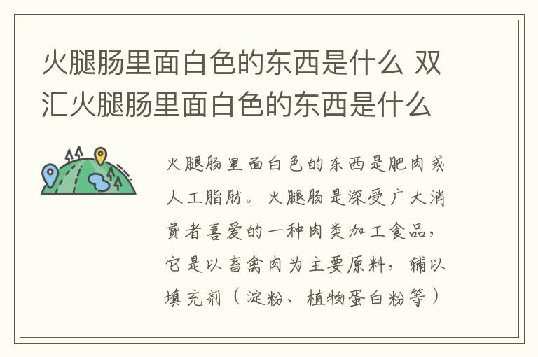 火腿肠里面白色的东西是什么 双汇火腿肠里面白色的东西是什么