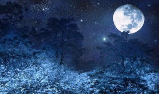 明月夜表达什么感情 明月夜表达哪些感情
