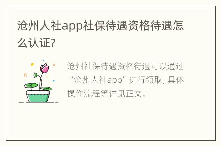 沧州人社app社保待遇资格待遇怎么认证?