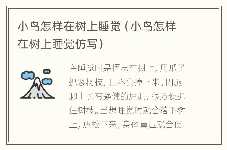 小鸟怎样在树上睡觉（小鸟怎样在树上睡觉仿写）