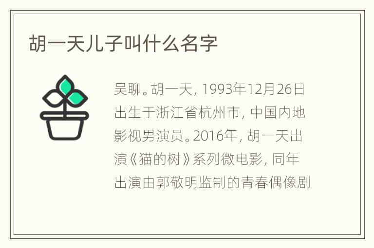 胡一天儿子叫什么名字