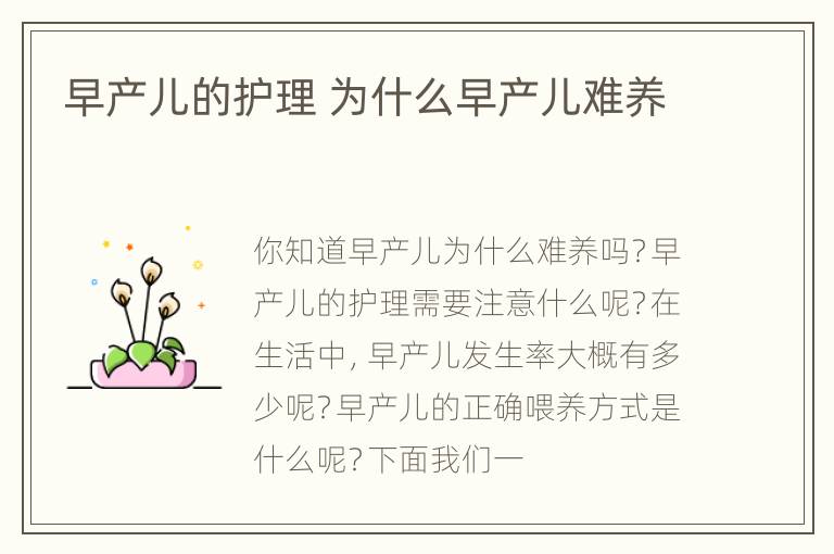 早产儿的护理 为什么早产儿难养