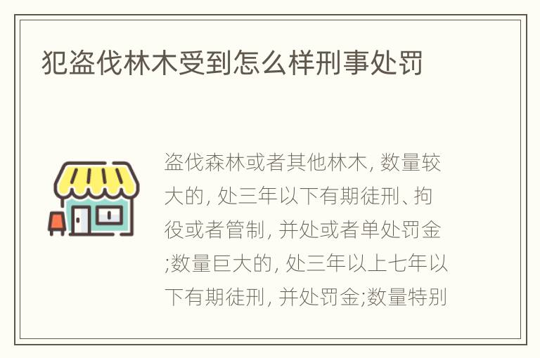 犯盗伐林木受到怎么样刑事处罚