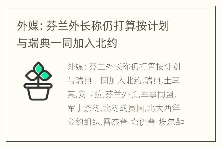 外媒：芬兰外长称仍打算按计划与瑞典一同加入北约
