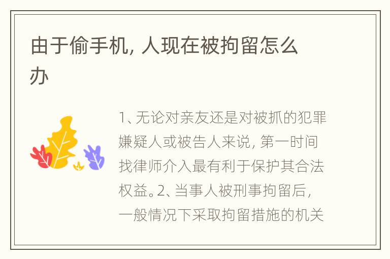 由于偷手机，人现在被拘留怎么办