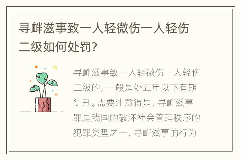 寻衅滋事致一人轻微伤一人轻伤二级如何处罚？