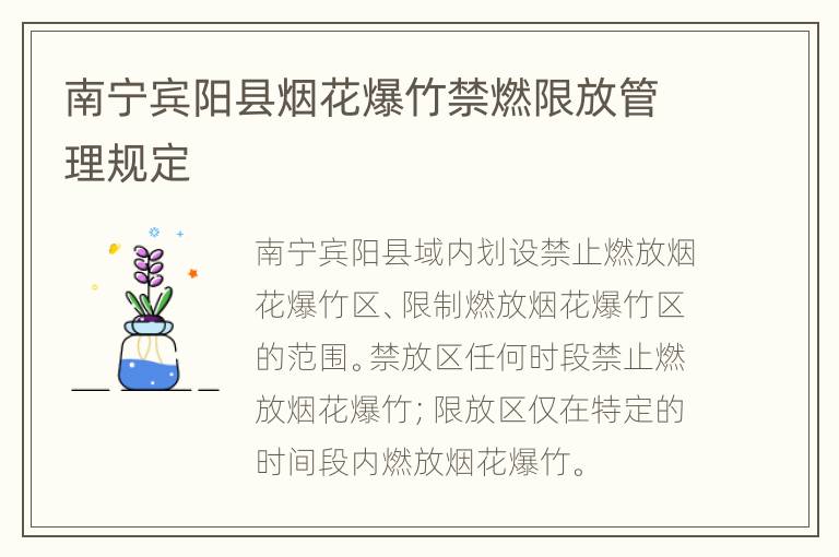 南宁宾阳县烟花爆竹禁燃限放管理规定