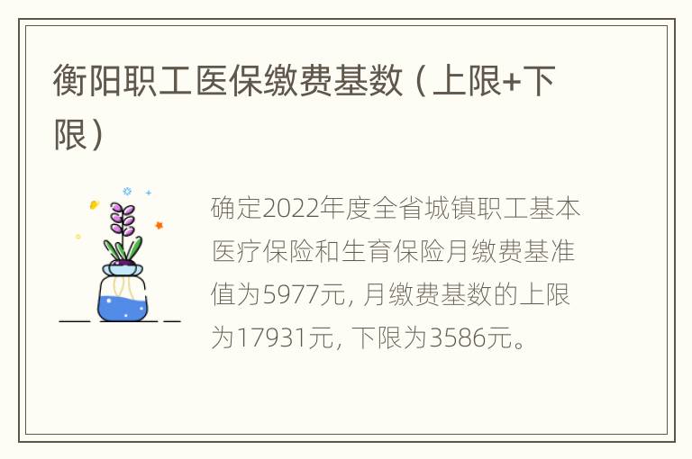 衡阳职工医保缴费基数（上限+下限）
