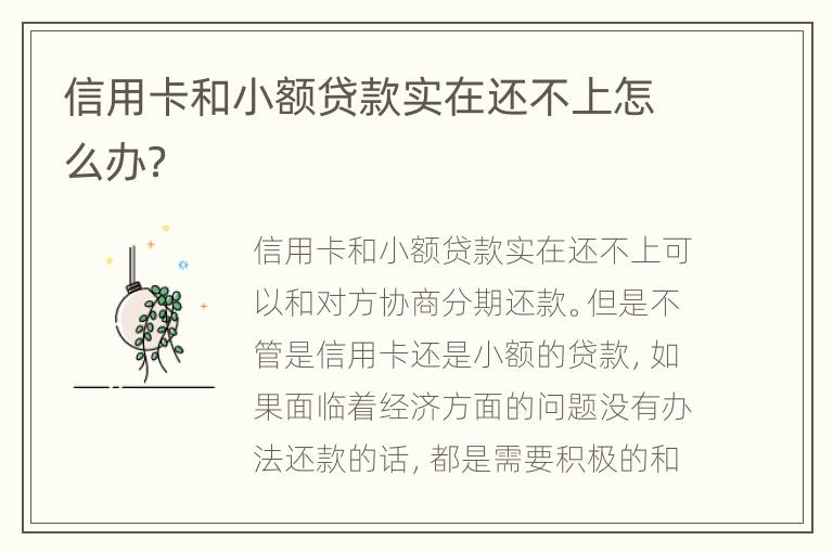 信用卡和小额贷款实在还不上怎么办？
