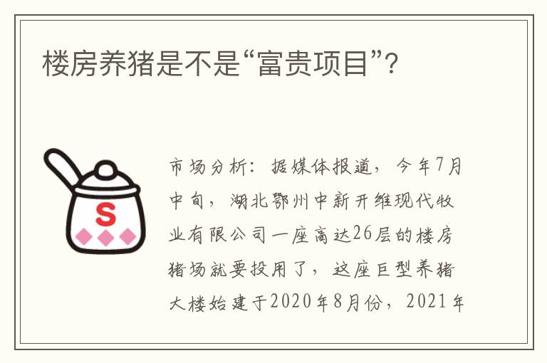 楼房养猪是不是“富贵项目”？