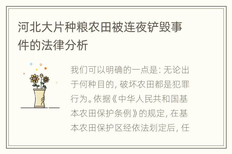 河北大片种粮农田被连夜铲毁事件的法律分析