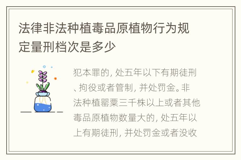 法律非法种植毒品原植物行为规定量刑档次是多少