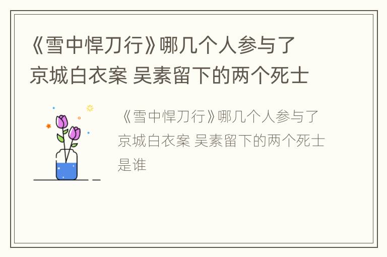 《雪中悍刀行》哪几个人参与了京城白衣案 吴素留下的两个死士是谁