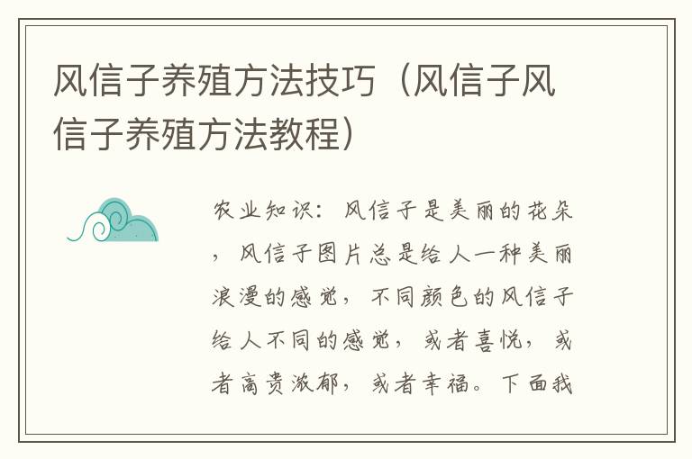 风信子养殖方法技巧（风信子风信子养殖方法教程）