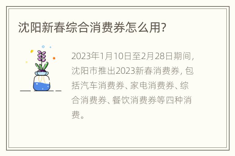 沈阳新春综合消费券怎么用？