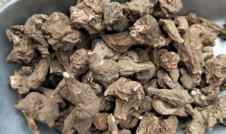 川乌的功效与作用及禁忌 川乌有何功效与作用及禁忌