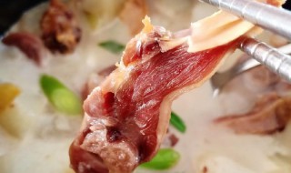 腊鸭腿煮萝卜煲怎么做 腊鸭腿煮萝卜煲需要什么材料