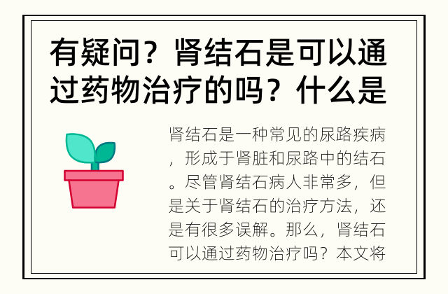 有疑问？肾结石是可以通过药物治疗的吗？ 什么是肾结石及其治疗方法