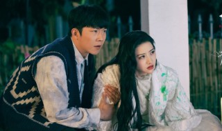 司藤为什么杀了司藤 司藤电视剧简介
