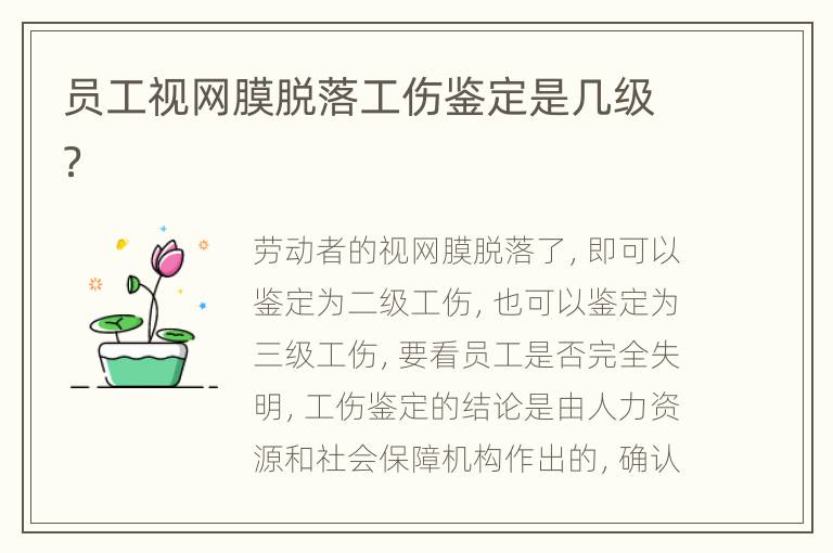 员工视网膜脱落工伤鉴定是几级？