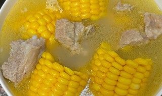 排骨炖玉米一般炖多久 排骨炖玉米炖多久才好吃