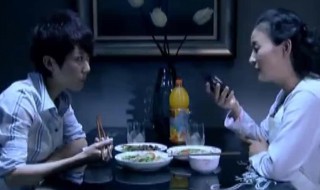 不要离开我剧情介绍 不要离开我有多少集