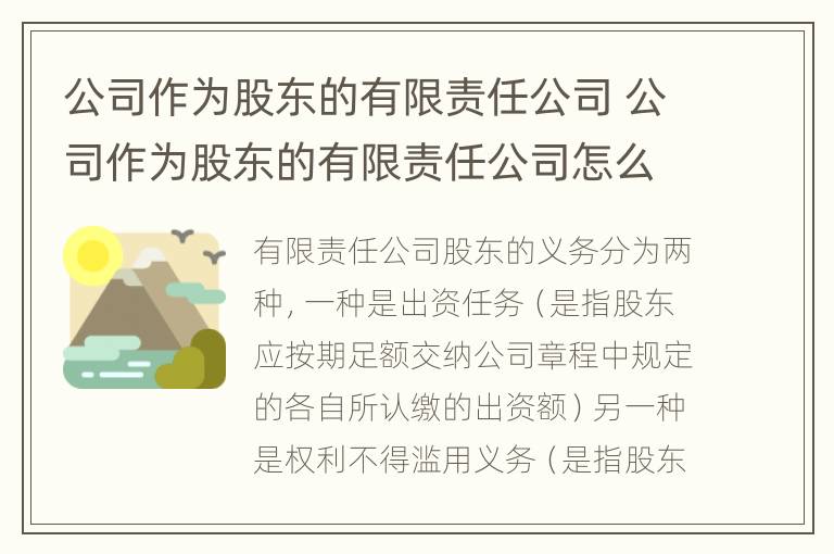 公司作为股东的有限责任公司 公司作为股东的有限责任公司怎么办