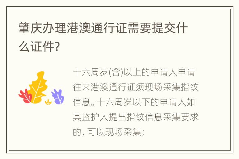 肇庆办理港澳通行证需要提交什么证件？