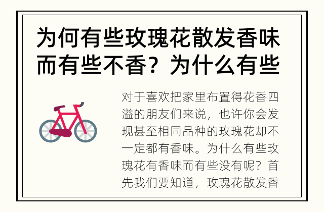 为何有些玫瑰花散发香味而有些不香？ 为什么有些玫瑰花有香味而有些没有？
