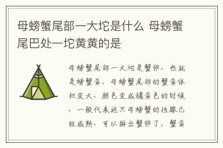 母螃蟹尾部一大坨是什么 母螃蟹尾巴处一坨黄黄的是