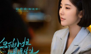 乌鸦小姐与蜥蜴先生演员表 乌鸦小姐与蜥蜴先生电视剧简介