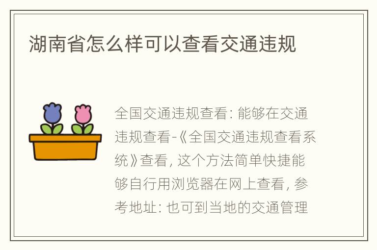湖南省怎么样可以查看交通违规