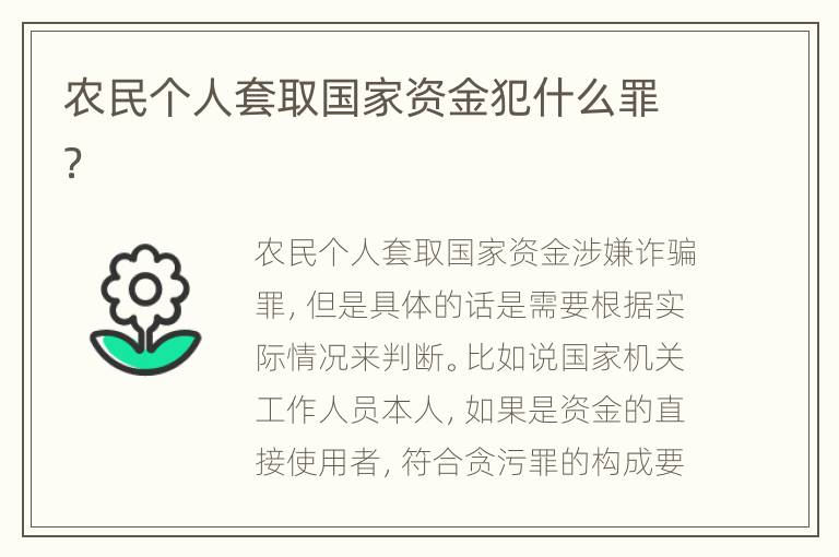 农民个人套取国家资金犯什么罪？