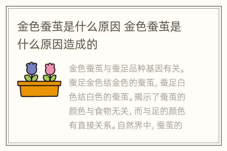 金色蚕茧是什么原因 金色蚕茧是什么原因造成的