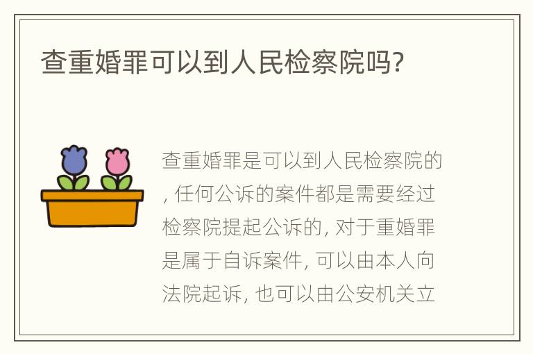 查重婚罪可以到人民检察院吗？