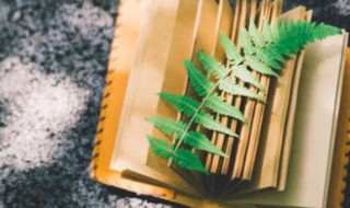 中国历史上最长的王朝 中国历史上最长的朝代是哪个朝代