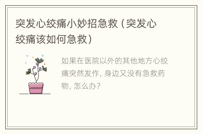突发心绞痛小妙招急救（突发心绞痛该如何急救）