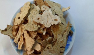 白术麸的功效与作用是什么 关于白术麸的好处介绍