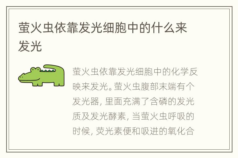 萤火虫依靠发光细胞中的什么来发光