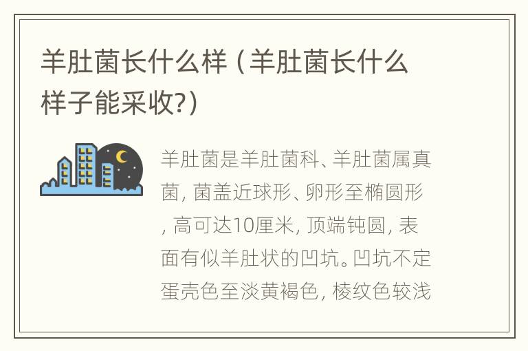 羊肚菌长什么样（羊肚菌长什么样子能采收?）