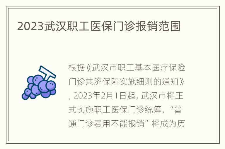 2023武汉职工医保门诊报销范围