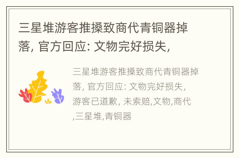 三星堆游客推搡致商代青铜器掉落，官方回应：文物完好损失，游客已道歉，未索赔