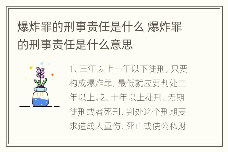 爆炸罪的刑事责任是什么 爆炸罪的刑事责任是什么意思