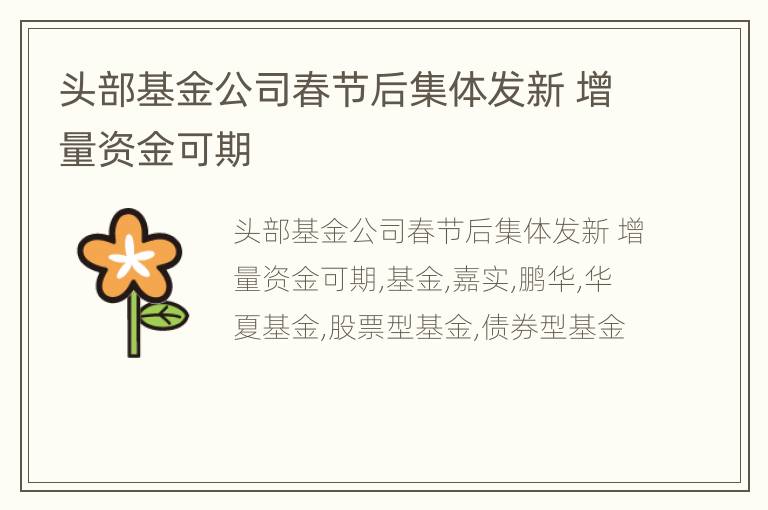 头部基金公司春节后集体发新 增量资金可期