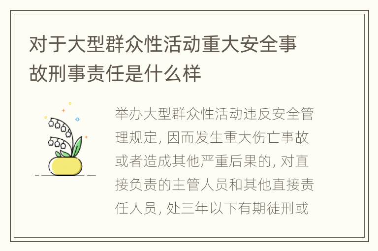 对于大型群众性活动重大安全事故刑事责任是什么样