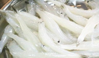 银鱼哪些人不能吃 银鱼的宜忌人群
