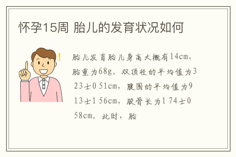 怀孕15周 胎儿的发育状况如何