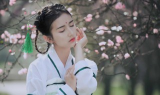 关于桃花的诗句古诗 有关桃花的著名诗句