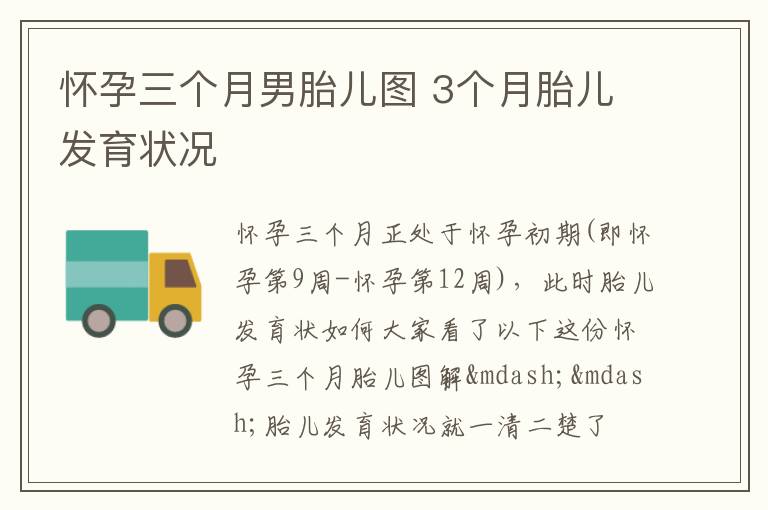 怀孕三个月男胎儿图 3个月胎儿发育状况