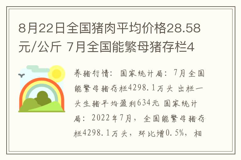 8月22日全国猪肉平均价格28.58元/公斤 7月全国能繁母猪存栏4298.1